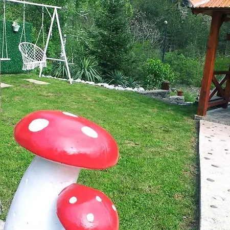 Apartament Koja Mokra Gora