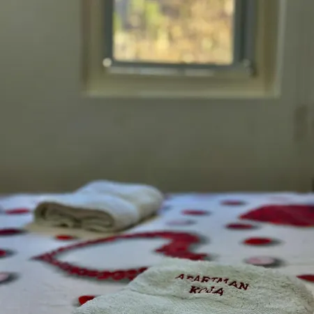 Apartament Koja Mokra Gora